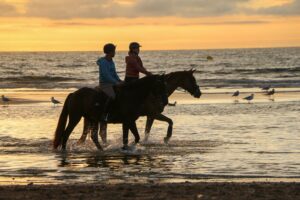 5 Day Wild Atlantic Tours